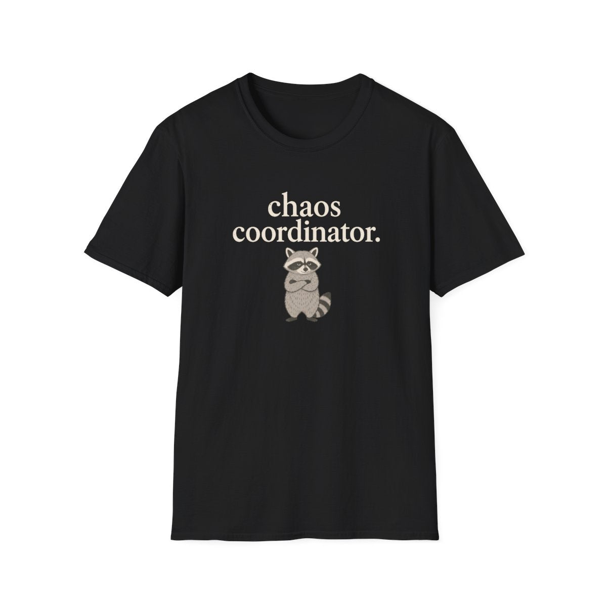 Racoon chaos coordinator T-Shirt