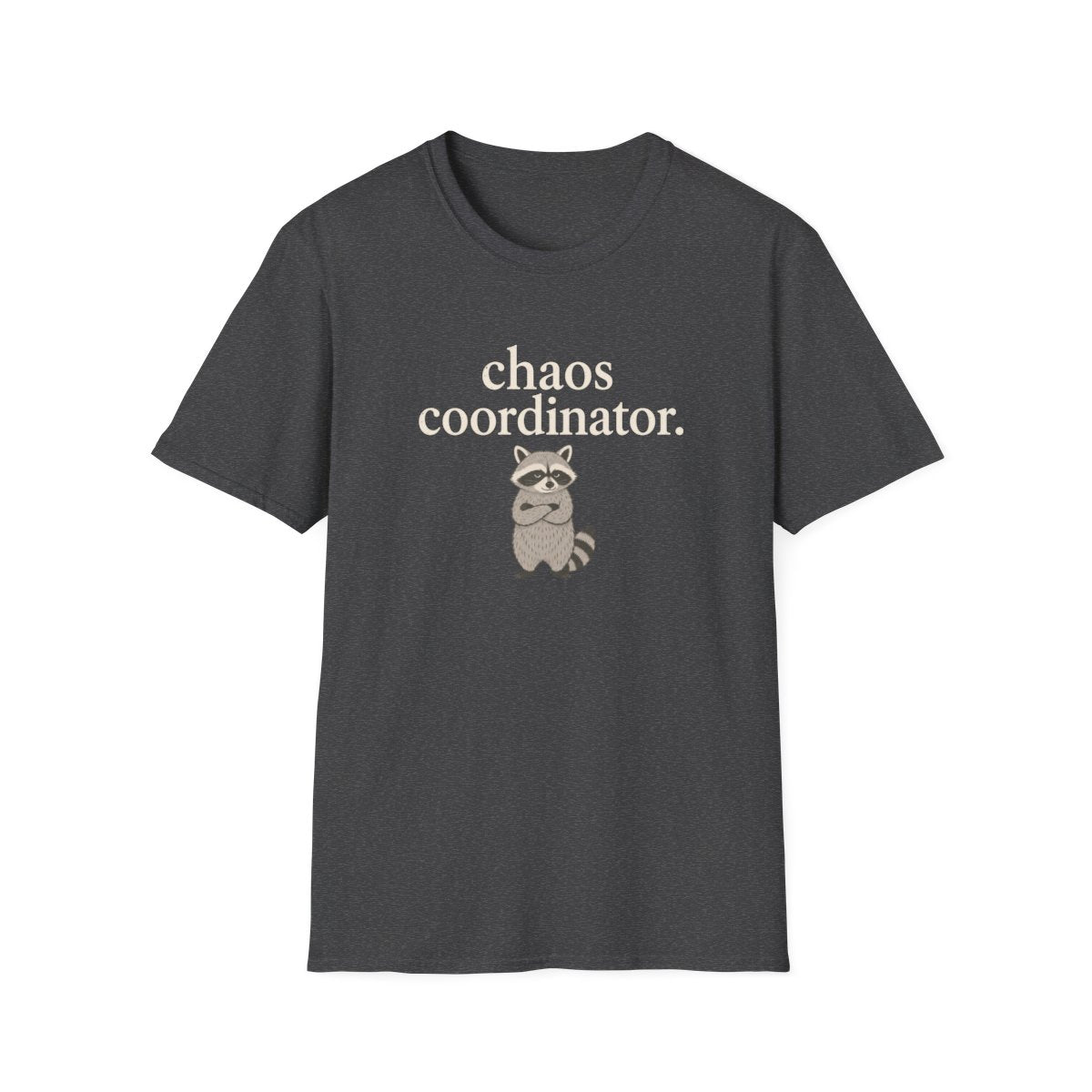 Racoon chaos coordinator T-Shirt
