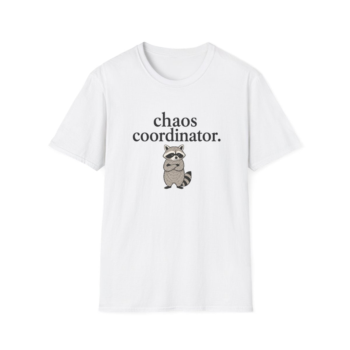 Racoon chaos coordinator T-Shirt